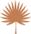 palm-leaf
